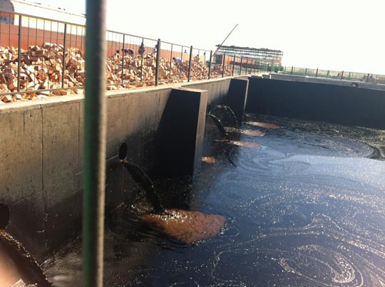 1709301506772786328871.jpg 微信圖片_20170930192426.jpg