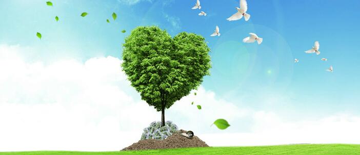 資源環境審計加碼助力污染防治