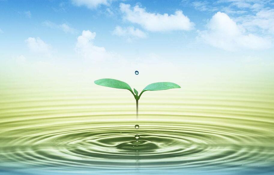 多重壁壘與千億契機并存:污泥處置如何實現彎道超車