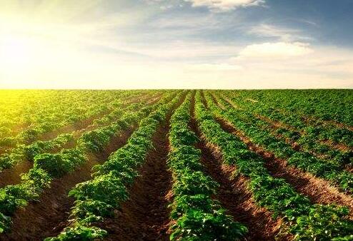 土壤修復市場:環保產業的最后一塊“蛋糕”