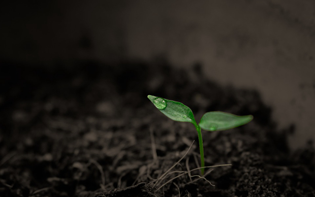 土壤修復市場:“十三五”1.3萬億,長遠6萬億