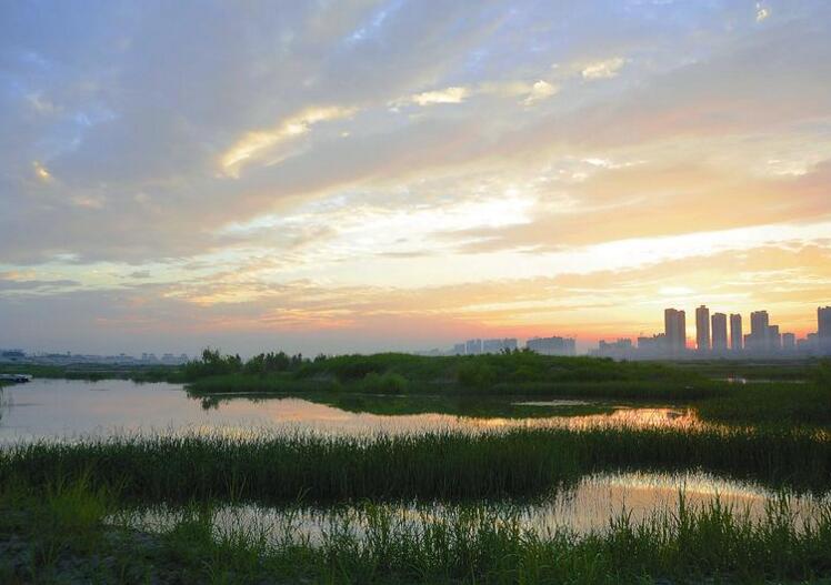 污泥處置路漫漫 突圍路在何方？