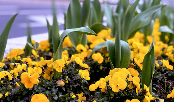  潛在市場空間5萬億，土壤修復(fù)產(chǎn)業(yè)仍處“蓄力期”