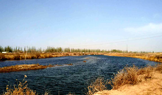 千億級(jí)紅利難收割?污泥處置在寒冬中艱難“轉(zhuǎn)身”