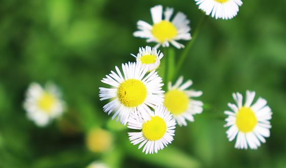 關于“十四五”大宗固體廢棄物綜合利用的指導意見