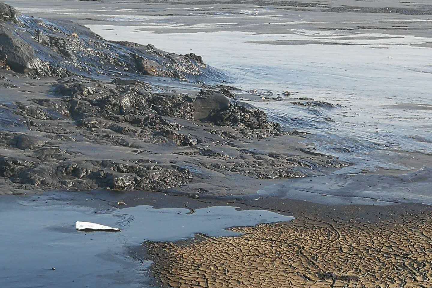 20250509/681daeced3aab.jpeg 20250509/681daeced3aab.jpeg